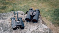 Fernglas Wildlife 10x42, Steiner
