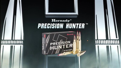 .300 Win. Mag. ELD-X 13,0g/200grs., Hornady