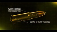 .30-30 Winchester Hammer Teilmantel 9,7g/150grs., Federal Ammunition