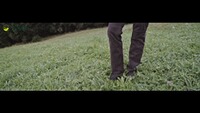 Büffellederhose, Luis Steindl