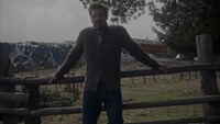 Cable cardigan, Luis Steindl