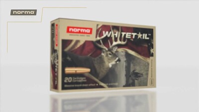 .30-06 Spr. Whitetail SP 9,7g/150grs., Norma