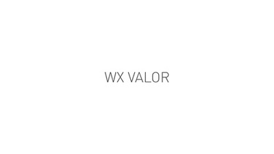 Brille WX Valor 2.5 , WileyX