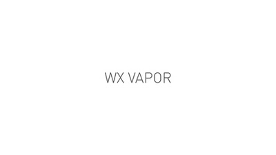 Set Brille WX VAPOR 2.5, WileyX