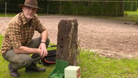 Lickstone holder, Göbel
