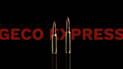 7x64 Express 10,0g/155grs., Geco