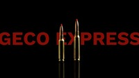 7x64 Express 10,0g/155grs., Geco