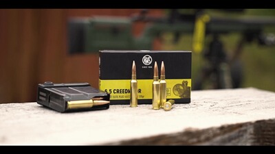 .308 Win. Scorion 10g/154grs., RWS