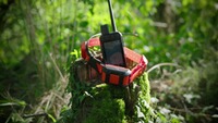 Hundeortungsgerät Halsband Alpha T 20 K, GARMIN