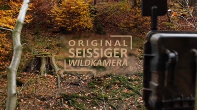 Wildkamera Special-Cam LTE , SEISSIGER