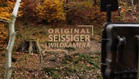 Wildkamera Special-Cam LTE , SEISSIGER
