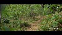 Jacke Tracker Pro Air, Browning