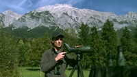 Okularmodul für ATX/STX, Swarovski Optik
