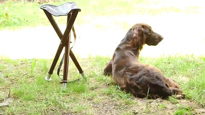 Chaise à siège tripode avec embouts en métal, Parforce