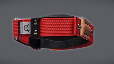 Hundehalsband Professional, WowWow