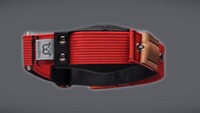 Hundehalsband Professional, WowWow