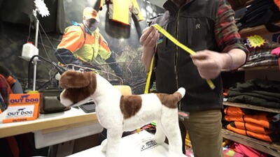 Gilet de protection pour chien standard, Out Dog