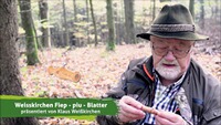 Fiepblatter Fiep-piu, Weisskirchen