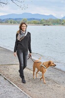 V-neck sweater made of lambswool, Highmoor