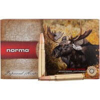 .243 Win., Oryx 100 grs., Norma