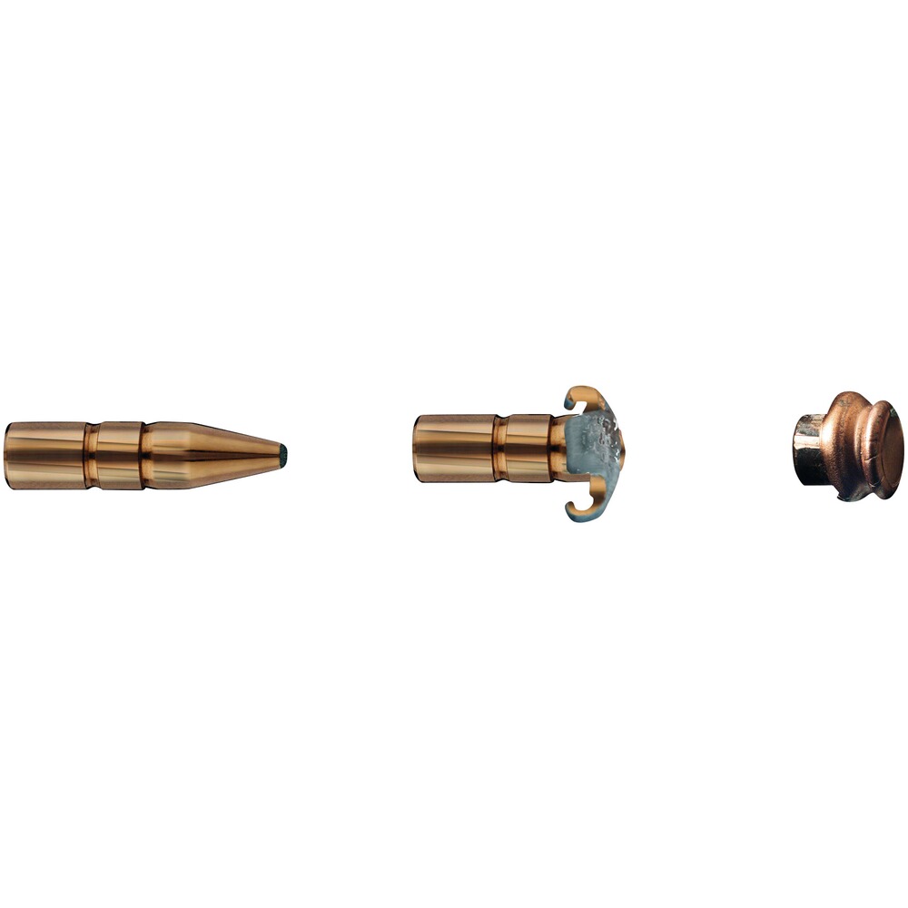 6,5x55 Doppelkern 9,1g/140grs., RWS