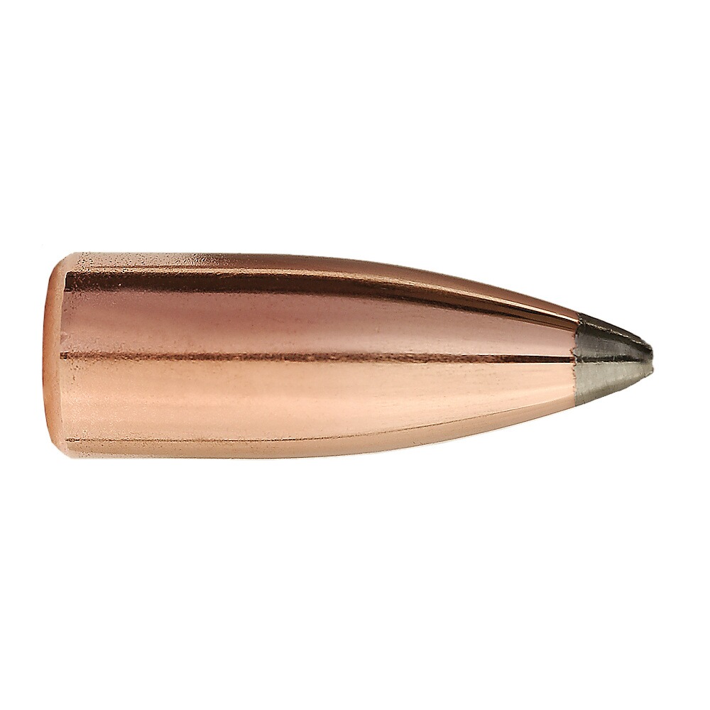 Geschosse .308 8,1g/125grs. Tlm Pro-Hunter