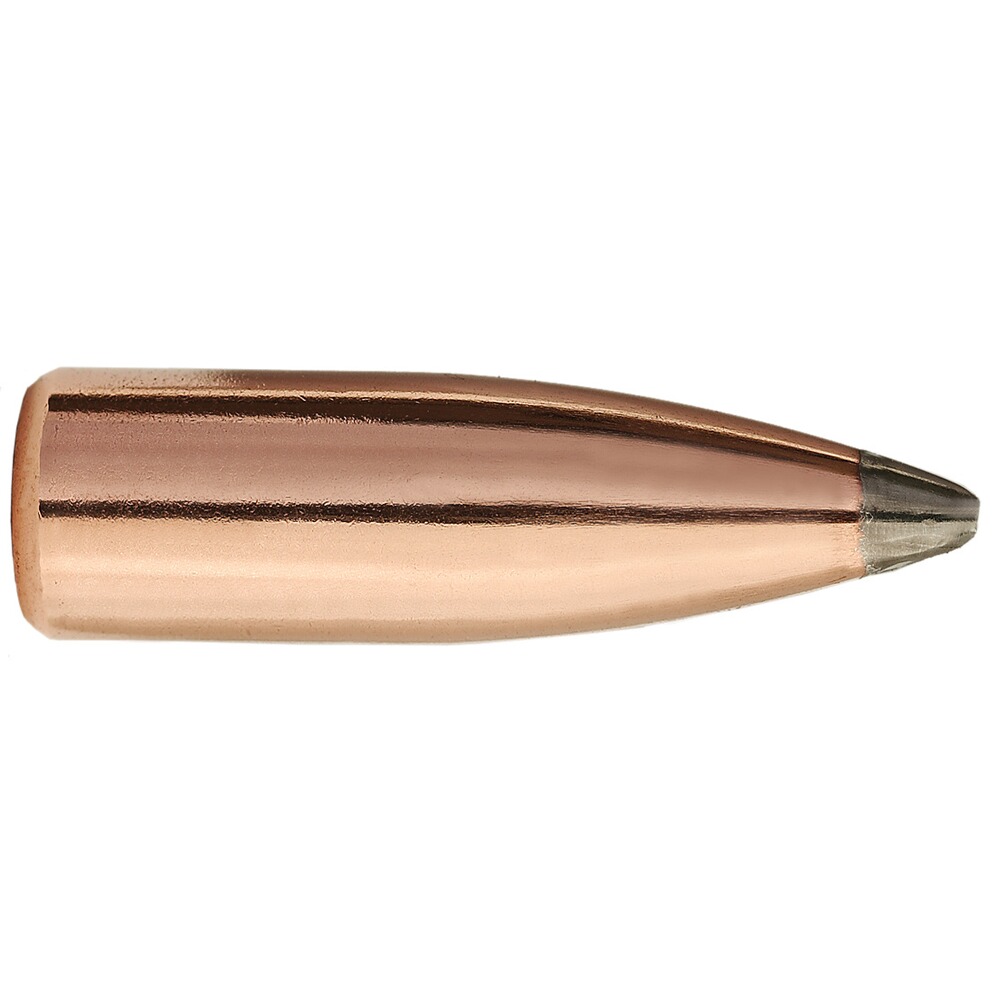 Geschosse .323 11,3g/175grs. Tlm S Pro-Hunter