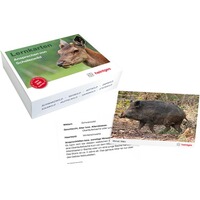 Lernkarten Ansprechen von Schalenwild, Heintges