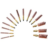 Bronze brush, Raetz