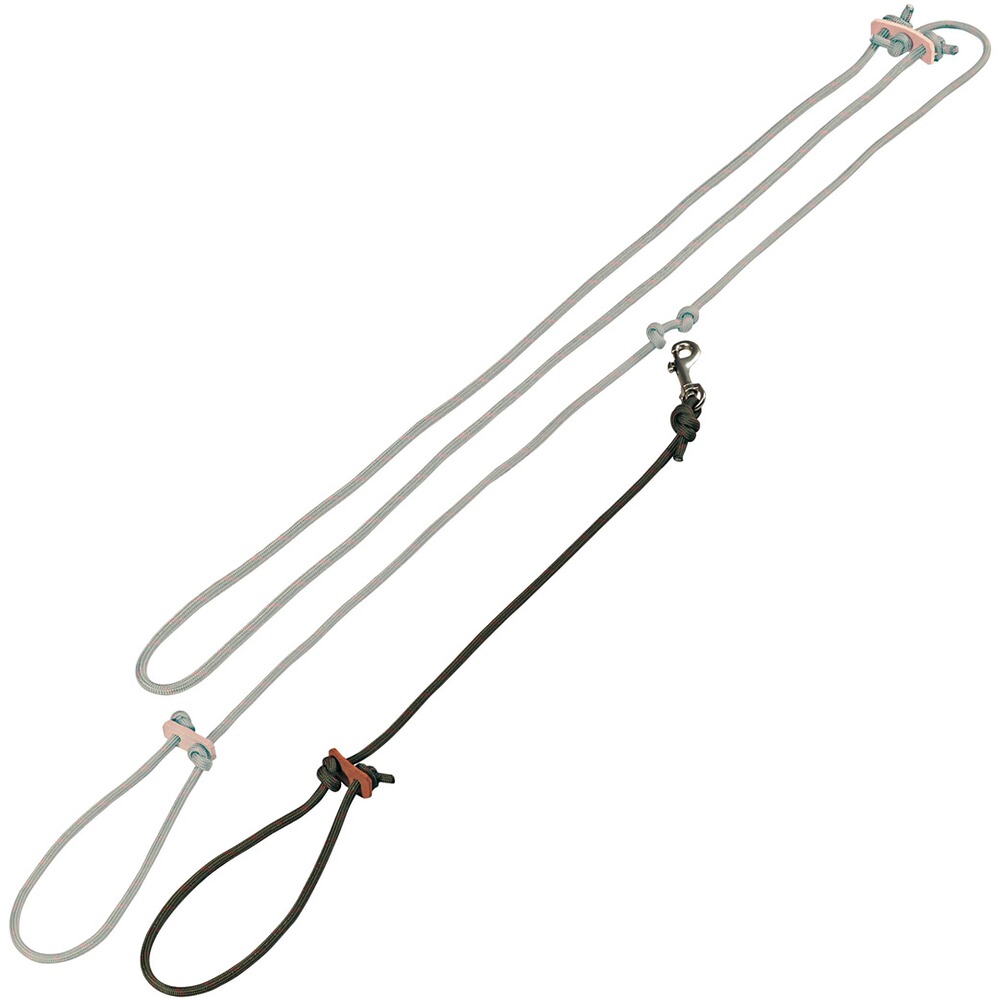 Leash, Horse Gear