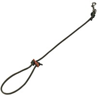 Leash, Horse Gear