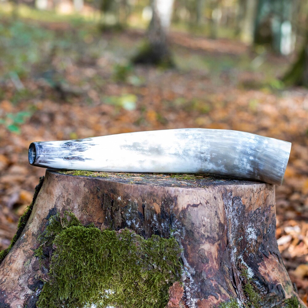 Hirschruf Ochsenhorn, Weisskirchen