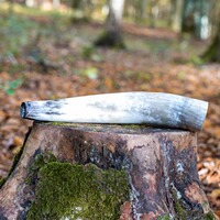Hirschruf Ochsenhorn, Weisskirchen