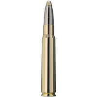 8x57 IS Evolution 13,0g/200grs., RWS