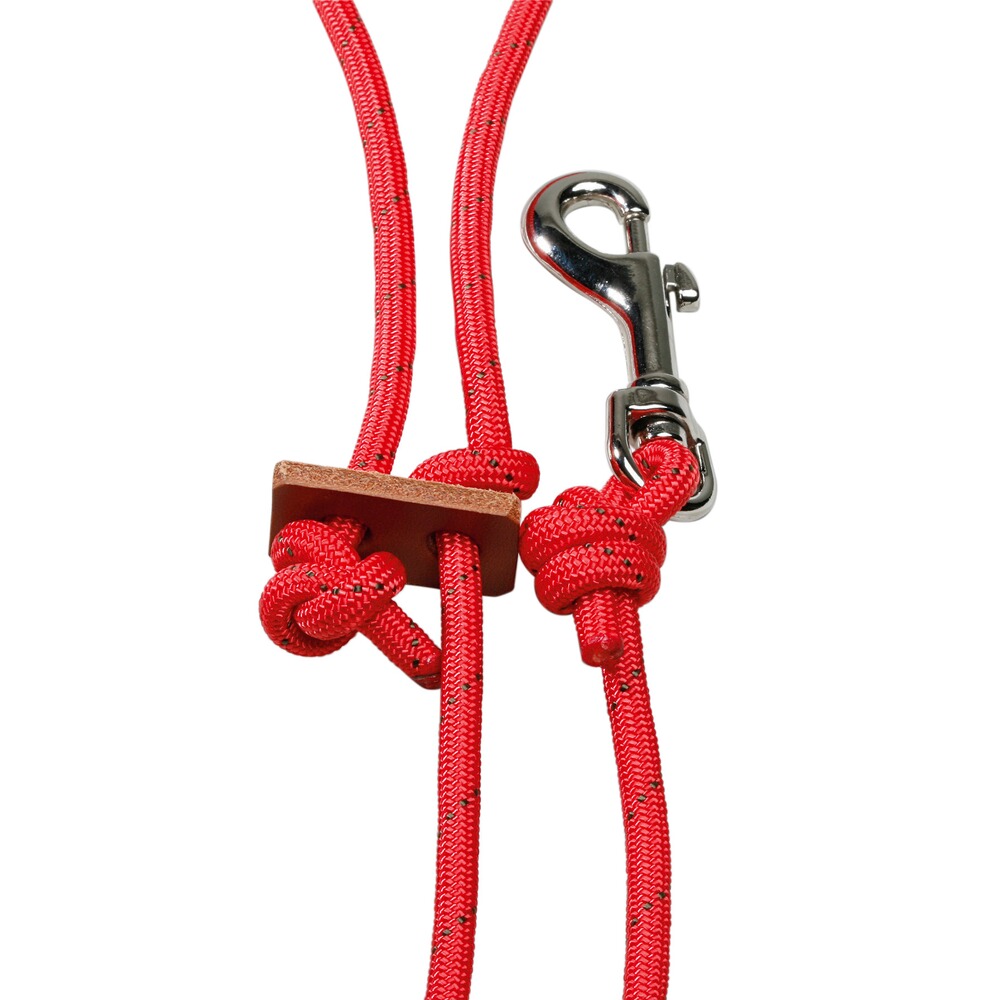 Leash, Horse Gear
