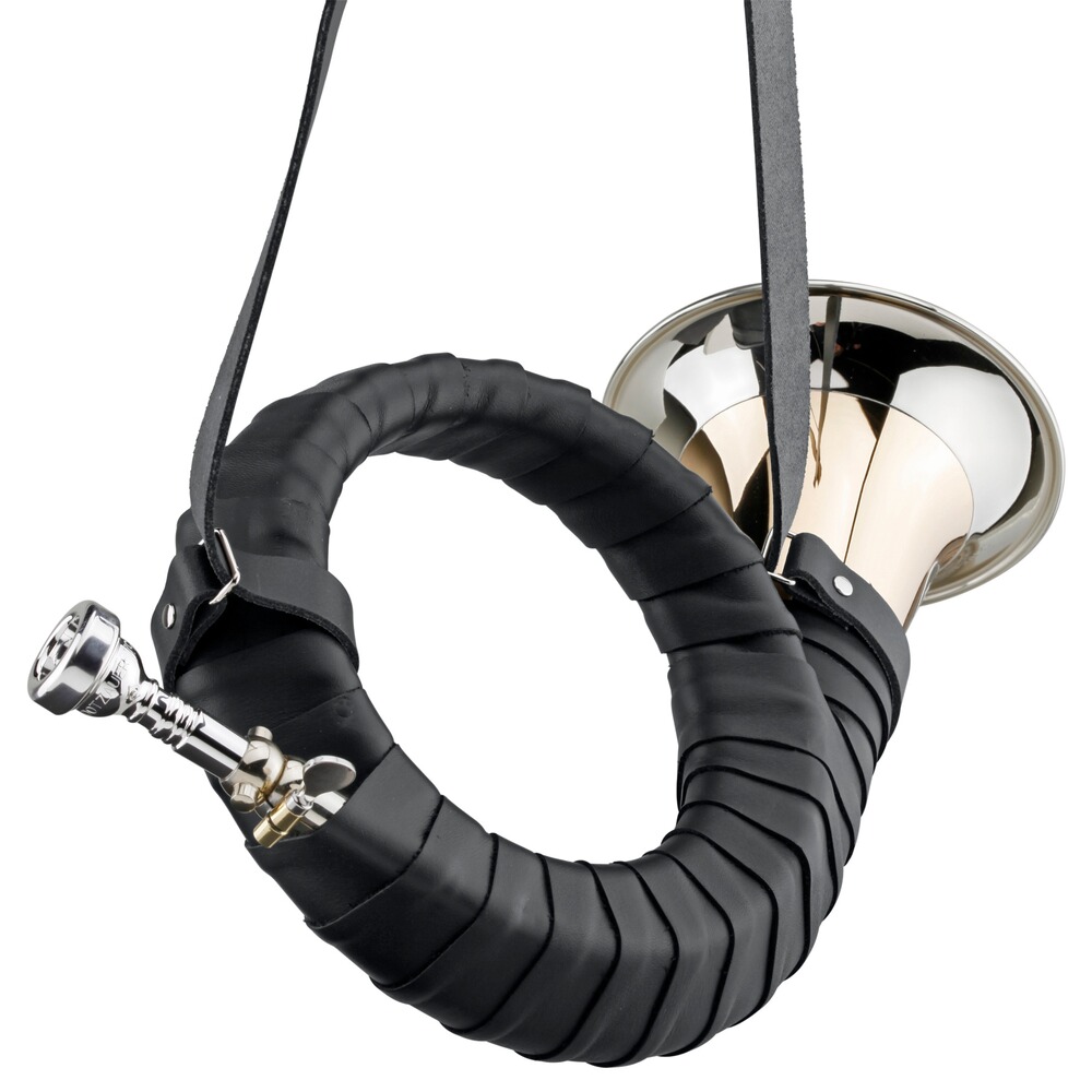 Fürst-Pless-Horn Super de Luxe 18825 en laiton doré, Dotzauer