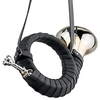 Fürst-Pless-Horn Super de Luxe 18825 en laiton doré, Dotzauer