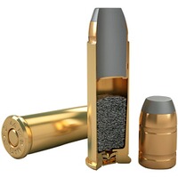 .44 Magnum SJSP 15.55g/240grs., Magtech