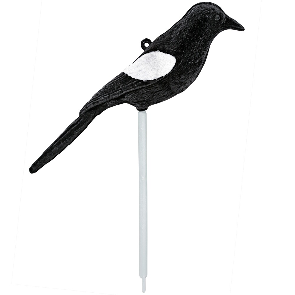 Lockvogel Elster