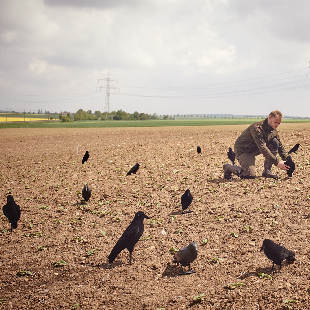 Lockvogel Krähe 42 cm