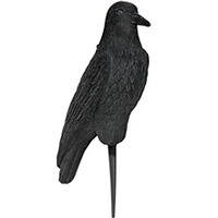 Lockvogel Krähe 42 cm