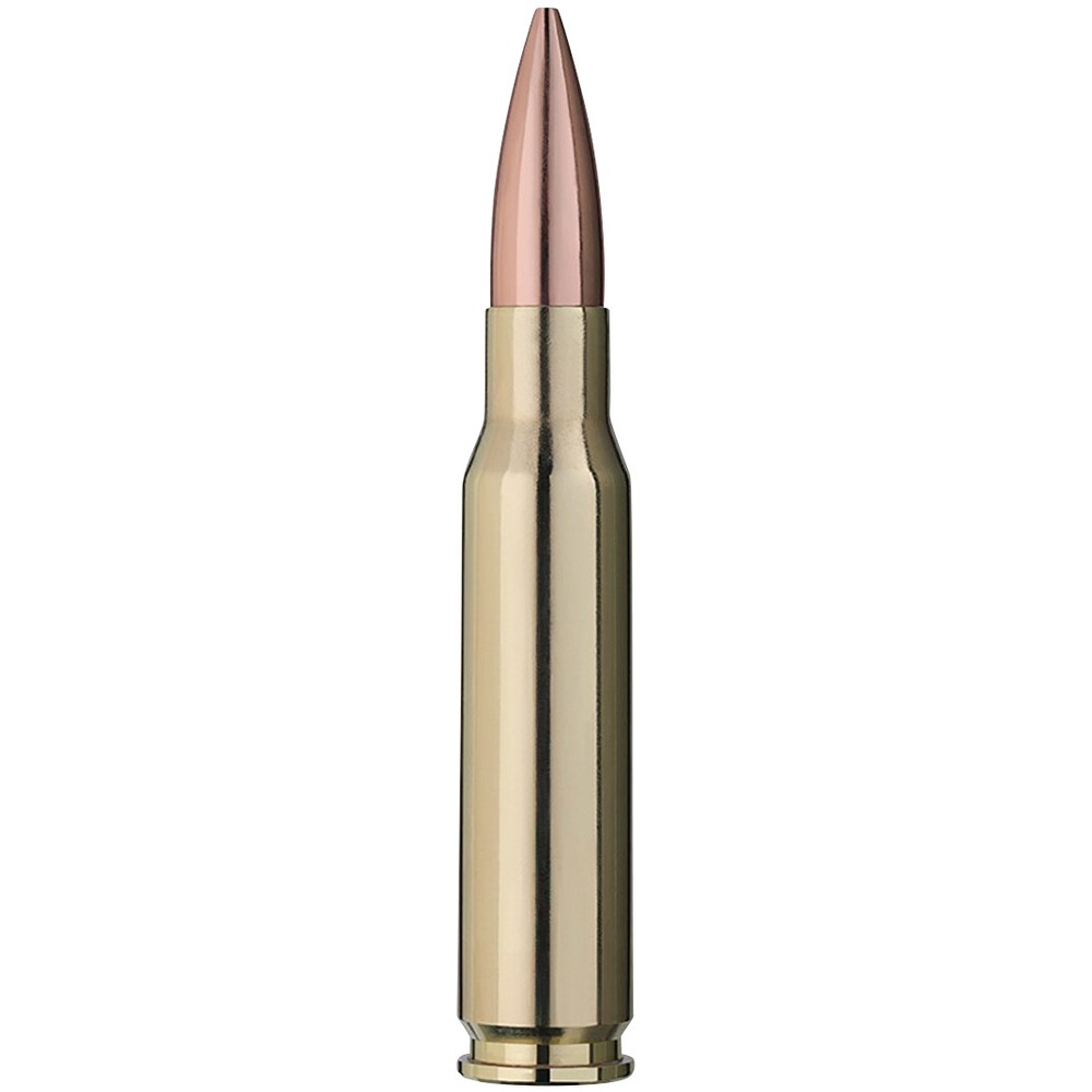 .308 Win. Scorion 12,3g/190grs., RWS