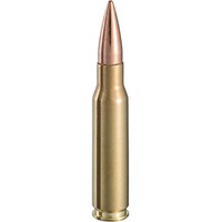 .308 Win. Vollmantel 11,7g/180grs., Magtech
