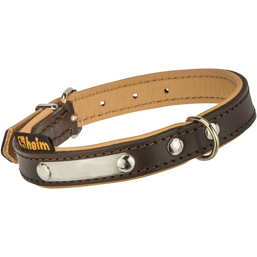 Halsung Leder