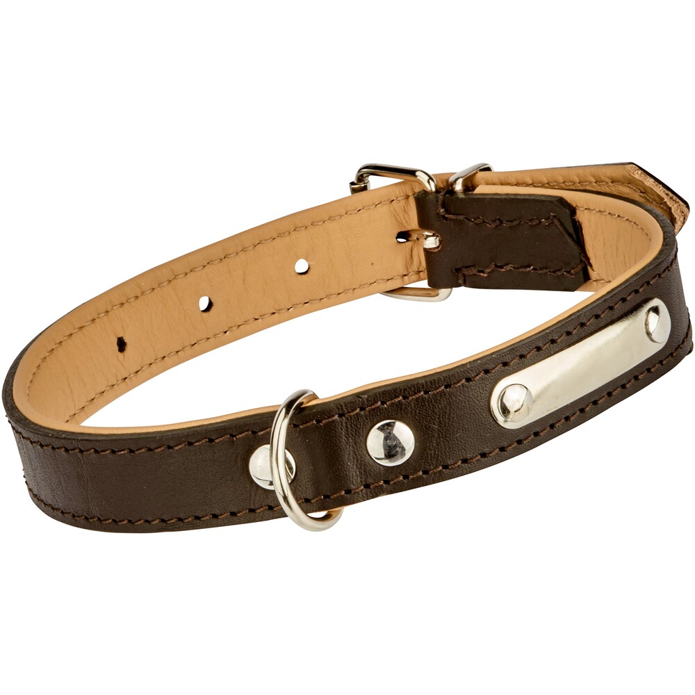 Halsung Leder