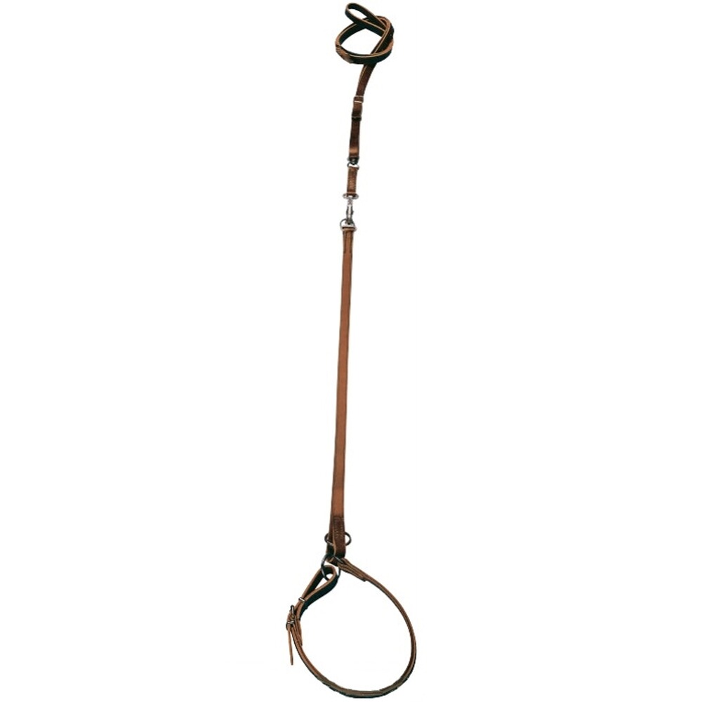 Umhängeleine Leder mit Halsung