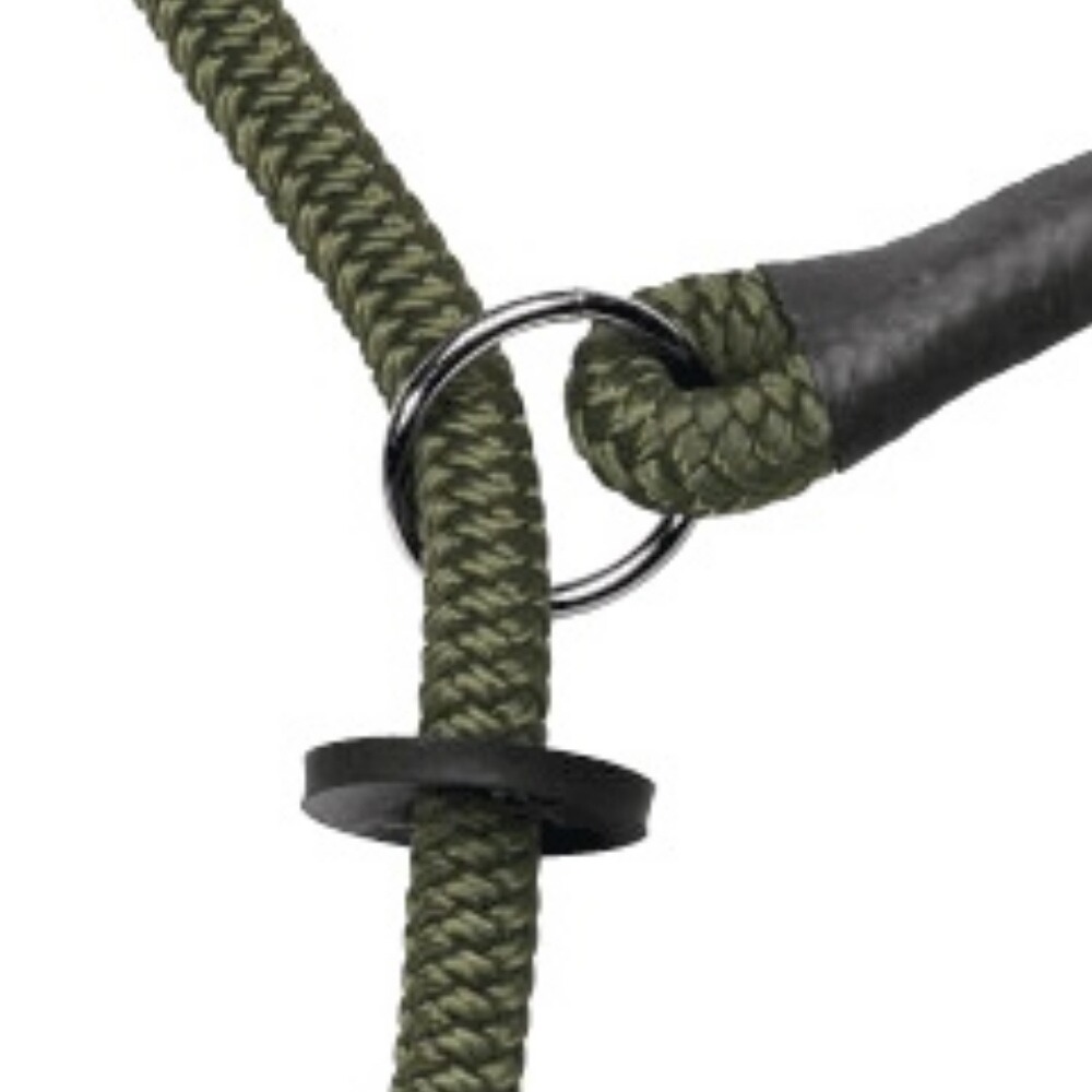 Moxon Leash Sportsman, Heim