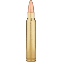 .300 WSM Vor-TX Interational TTSX 10,7g/165grs., Barnes