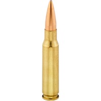 .308 Win. Match BTHP 10,9/g168grs., Hornady