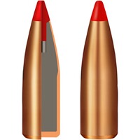 7x64 Express 10,0g/155grs., Geco